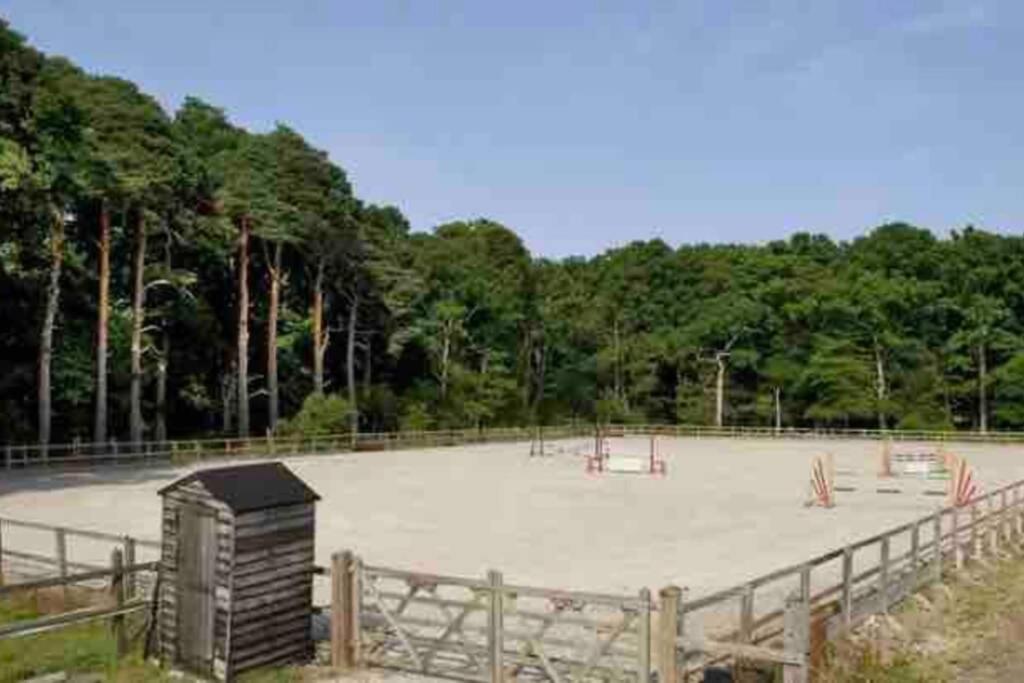 Langford Farmhouse - New Forest National Park Luxury 4Bd, Hot Tub, Cinema, 10 Acres Bartley Exterior photo
