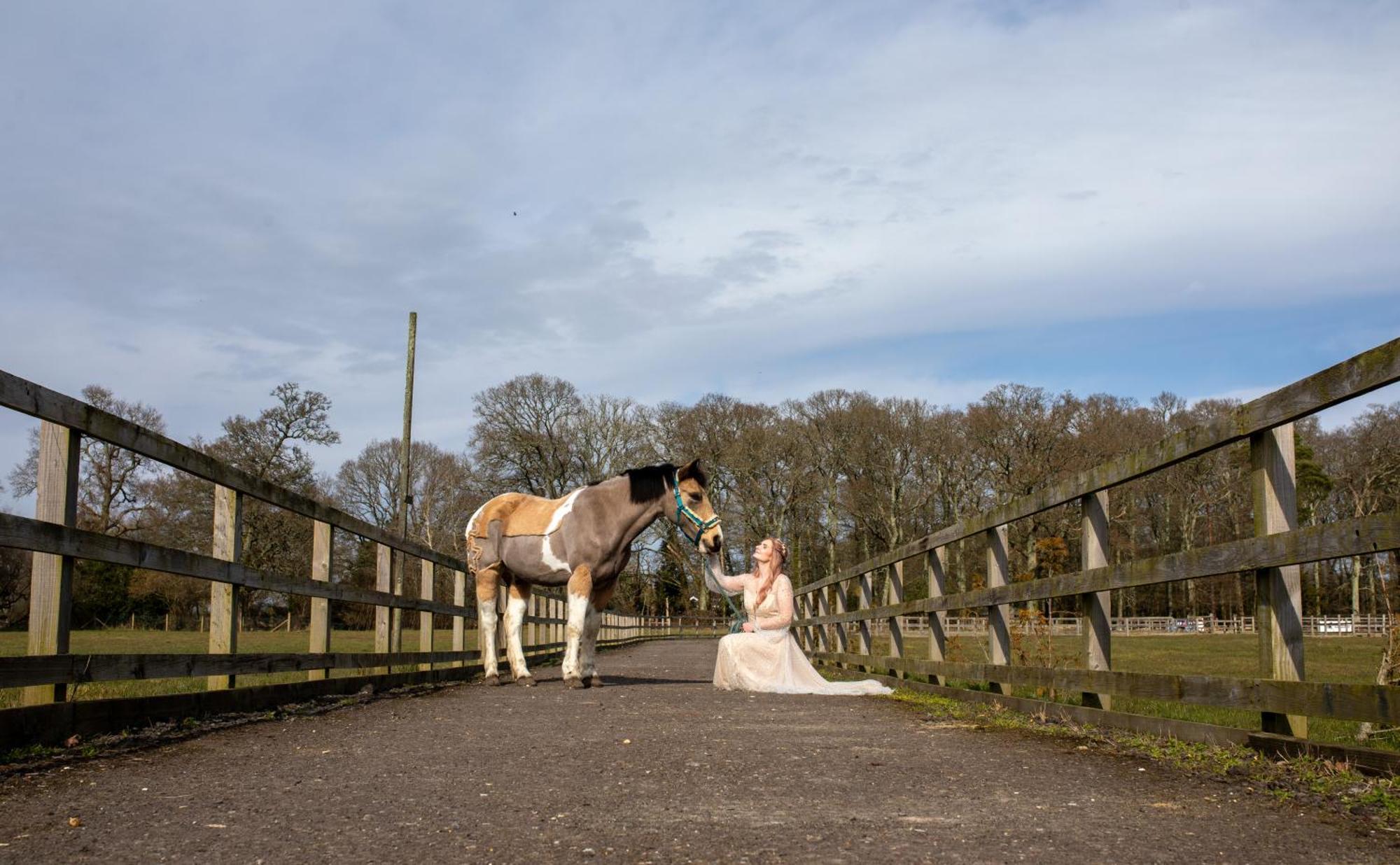Langford Farmhouse - New Forest National Park Luxury 4Bd, Hot Tub, Cinema, 10 Acres Bartley Exterior photo